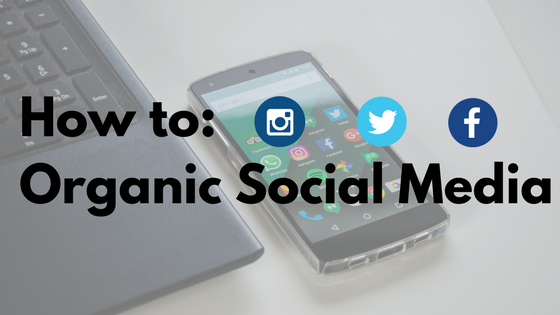 guide to organic social media